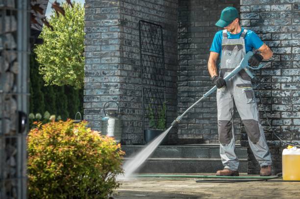 Best Sidewalk and Walkway Cleaning  in Mahnomen, MN