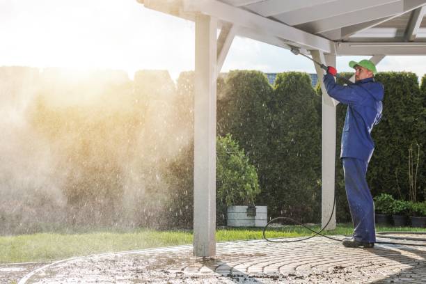 Boat and Dock Cleaning in Mahnomen, MN